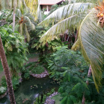 фото из отзыва ID 1449670