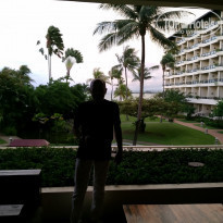 фото из отзыва ID 1449670