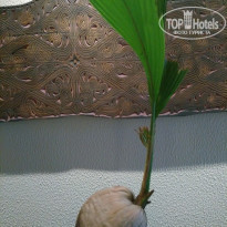 фото из отзыва ID 1449670