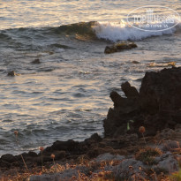 фото из отзыва ID 1449673