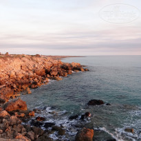 фото из отзыва ID 1449673