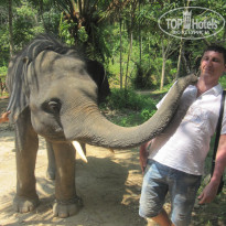 фото из отзыва ID 1449773