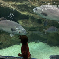 фото из отзыва ID 1449495