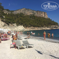 фото из отзыва ID 1449879