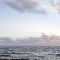 фото из отзыва ID 1449673