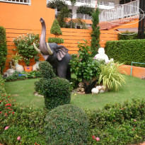 фото из отзыва ID 1449929