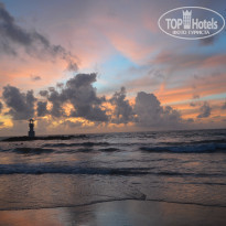 фото из отзыва ID 1448094