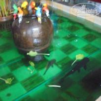 фото из отзыва ID 1446891