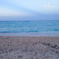 фото из отзыва ID 1446096