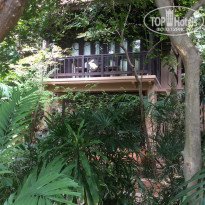 фото из отзыва ID 1445702