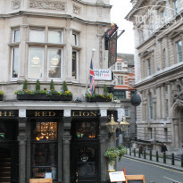 фото из отзыва ID 1446679