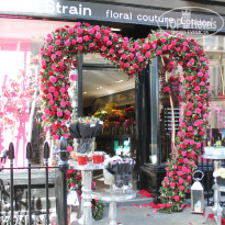 фото из отзыва ID 1446679