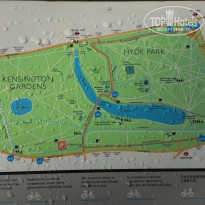 фото из отзыва ID 1446679