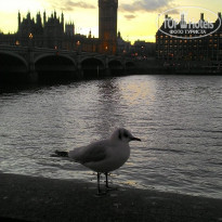 фото из отзыва ID 1446679