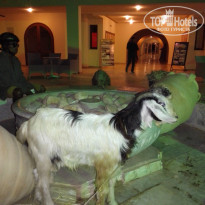 фото из отзыва ID 1440727