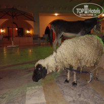 фото из отзыва ID 1440727