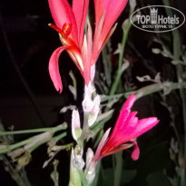 фото из отзыва ID 1444836