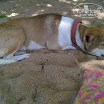 фото из отзыва ID 1444836