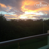 фото из отзыва ID 1446182