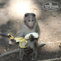 фото из отзыва ID 1448384