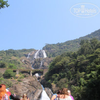 фото из отзыва ID 1448384