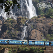 фото из отзыва ID 1448384