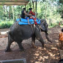 фото из отзыва ID 1448384