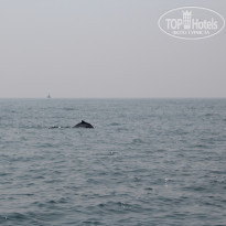 фото из отзыва ID 1448384