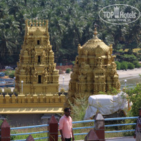 фото из отзыва ID 1448384