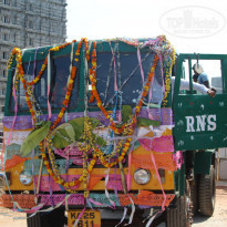 фото из отзыва ID 1448384