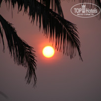 фото из отзыва ID 1448384