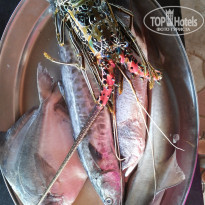 фото из отзыва ID 1448384