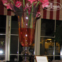 фото из отзыва ID 145252