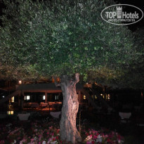 фото из отзыва ID 1450000