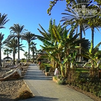 фото из отзыва ID 1450000