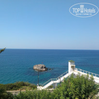 фото из отзыва ID 1450089