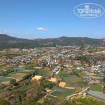 фото из отзыва ID 1450096