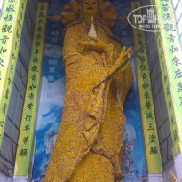 фото из отзыва ID 1450096