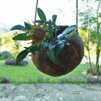 фото из отзыва ID 1450109