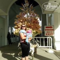 фото из отзыва ID 1450109