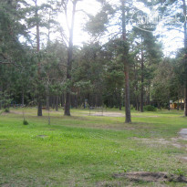 фото из отзыва ID 1450168