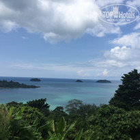 фото из отзыва ID 1450174