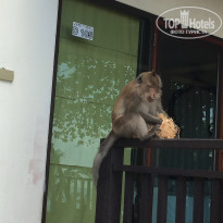 фото из отзыва ID 1450174