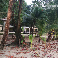 фото из отзыва ID 1450174