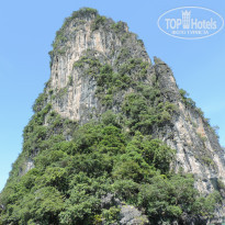 фото из отзыва ID 1450175