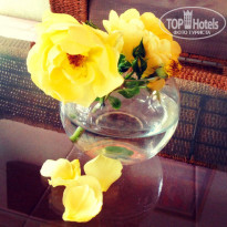 фото из отзыва ID 1450457