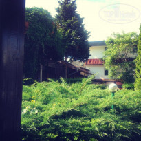 фото из отзыва ID 1450457