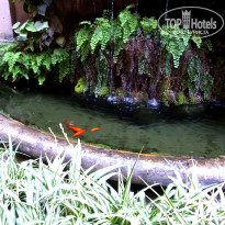 фото из отзыва ID 1450478