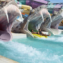 фото из отзыва ID 1450492