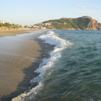 фото из отзыва ID 1450521